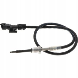 Temperatūros jutiklis išmetamųjų dujų apdorojimo įvade