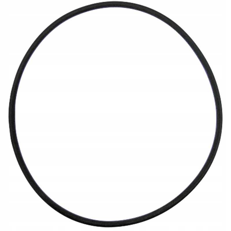 Oring case ih 112mm 71802028 granitas