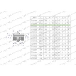 Hidraulinė jungtis bb xge m14x1 5 08l x 1 8