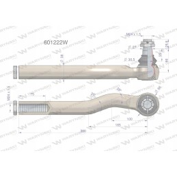 Vairo šarnyras Manitou 601222 Warynski