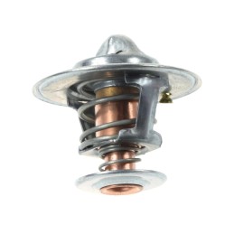 Termostatas massey ferguson 1447384m1 originalus