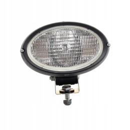 Darbinis lengvas massey ferguson 4291311m91 originalus