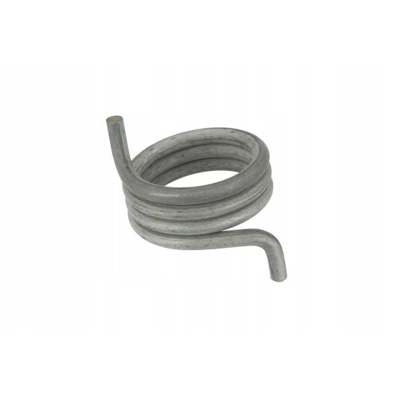 6005024254 darbinio stabdžio spyruoklė