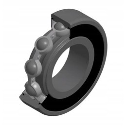 K 6207 2rs flt motogeneric guolis