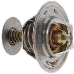 Termostatas Massey Ferguson 3641371m1 2485610 m641