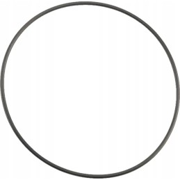 Sandarinimo žiedo sandarinimo žiedas 113 97x2 62mm