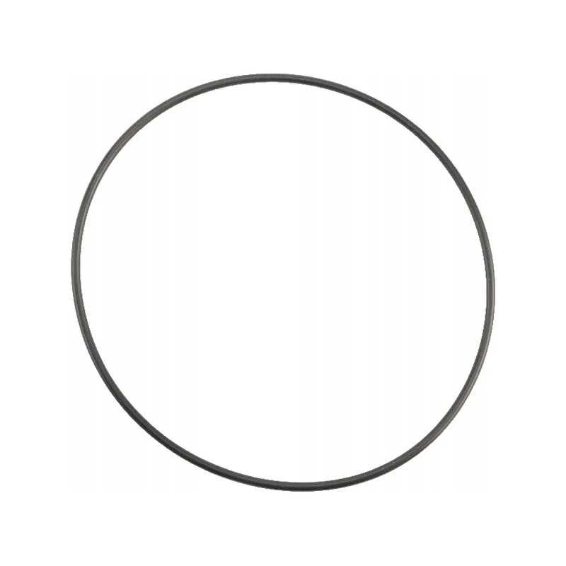 Sandarinimo žiedo sandarinimo žiedas 113 97x2 62mm