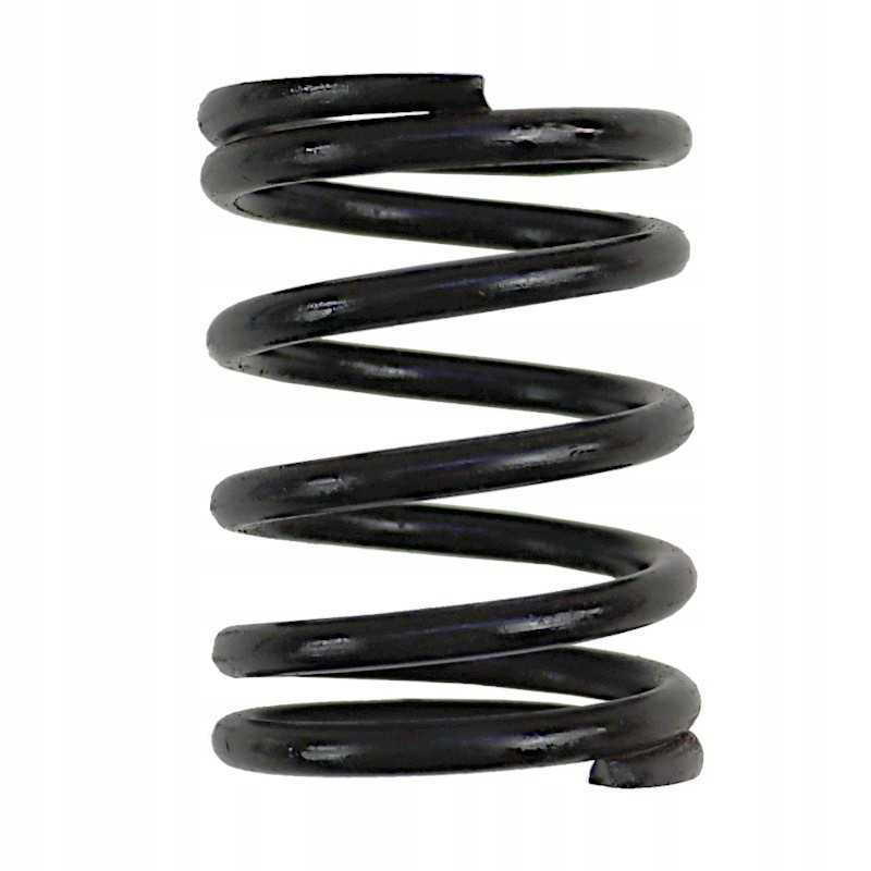 Išorinio vožtuvo spyruoklė 80005013 c 385 Andoria