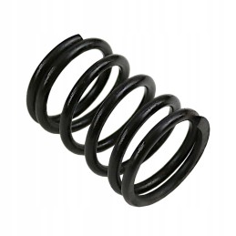 Išorinio vožtuvo spyruoklė 80005013 c 385 Andoria