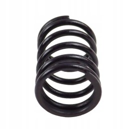 Išorinio vožtuvo spyruoklė 80005013 c 385 Andoria