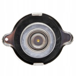 Massey Ferguson radiatoriaus dangtelis 4296015m1