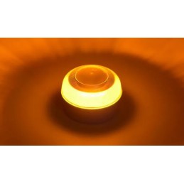 Įspėjamoji lemputė v16 9v