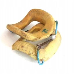 Generatoriaus ritė p20c