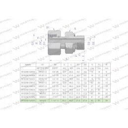 Hidraulinė jungtis ab evge m45x2 35l x 1 1