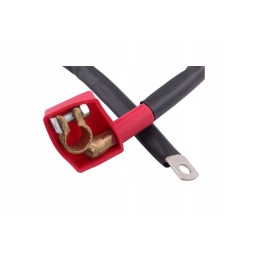 Akumuliatoriaus laidų komplektas, masė C 330