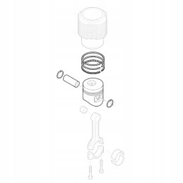 Hatz 01313542 sukomplektuotas stūmoklis std 1d81
