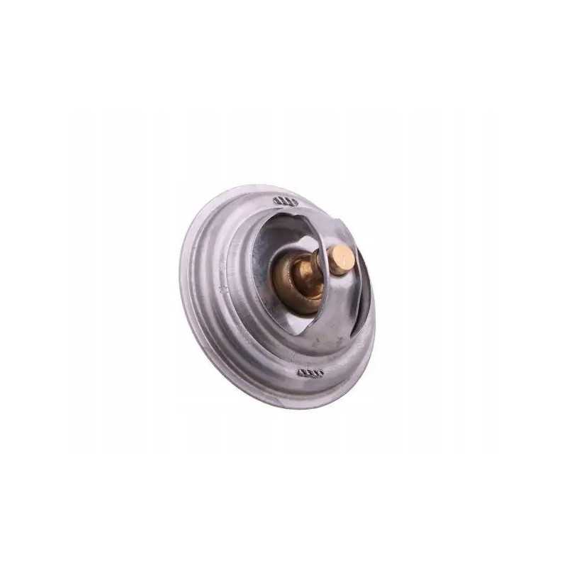 Originalus termostatas 70011316 c 385 zetor 4 cilindrai