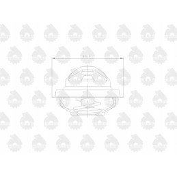 Originalus termostatas 70011316 c 385 zetor 4 cilindrai