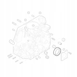 Hatz guolių rinkinys std 1d60 1d80 1d81 1d90