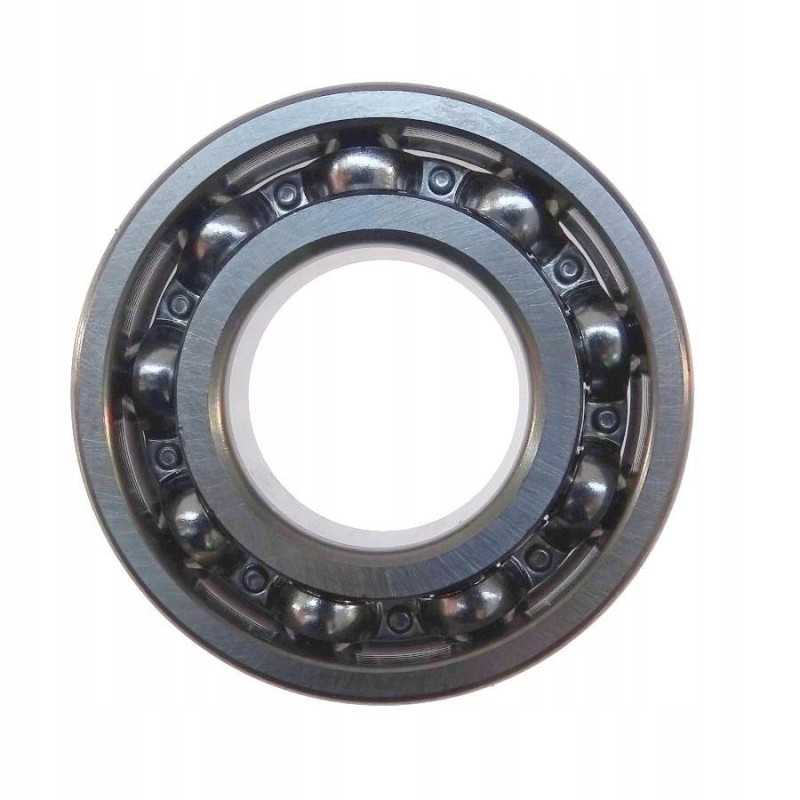 6205 motogenerinis guolis