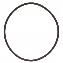 Oring 3 53x98 02 new Holland dėklas 14465981