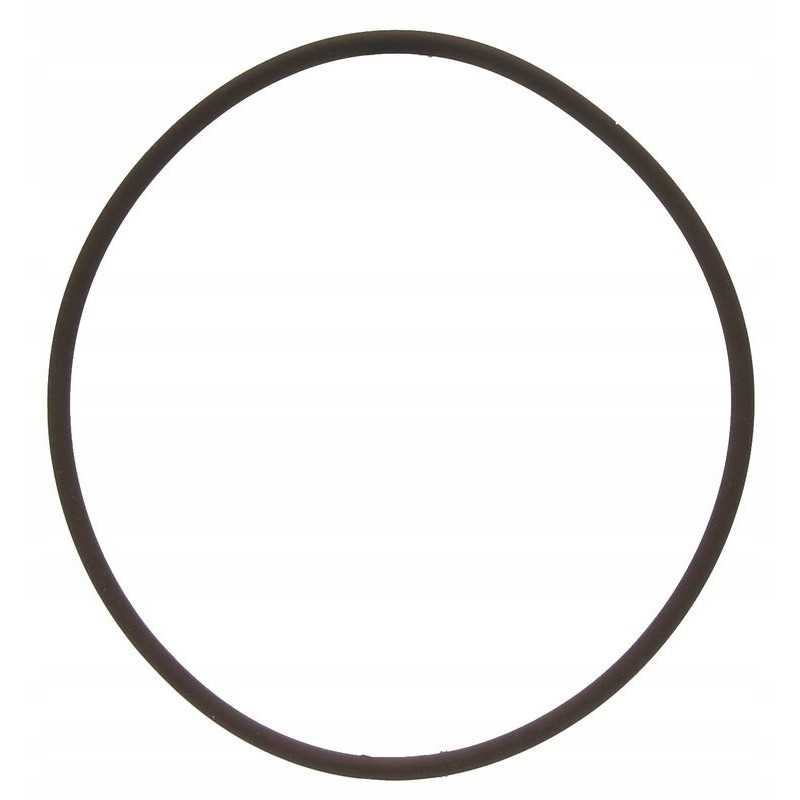 Oring 3 53x98 02 new Holland dėklas 14465981