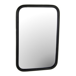 Veidrodis 300x200mm spaustukas 10mm galka dėklas deutz nh