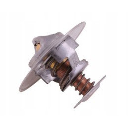 Termostatas 2856543 Steyr New Holland Case Polmo