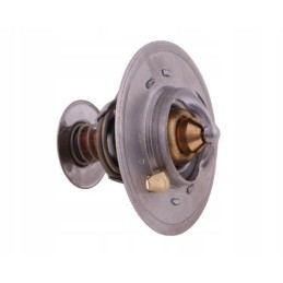 Termostatas 2856543 Steyr New Holland Case Polmo