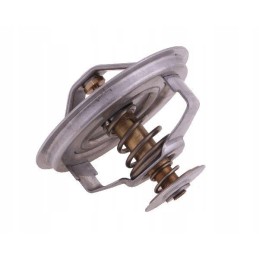 Termostatas g199204010020 fendt polmo g199204010020