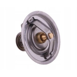 Termostatas g199204010020 fendt polmo g199204010020