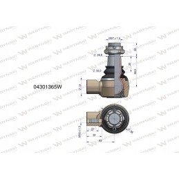 Vairo jungtis 62mm m18x1 5 04301365 warynski