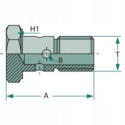 Tuščiaviduris kilpinis varžtas m10x1 20 5 mm 350 bar