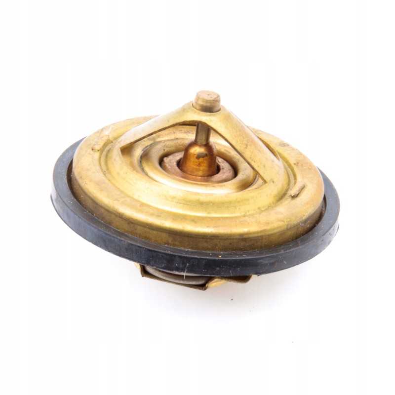 Termostatas 80005902