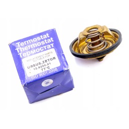 Termostatas 80005902