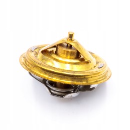 Termostatas 80005902