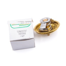Termostatas 80005902