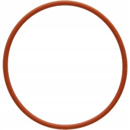 Oring 38012874 r501459 granitas