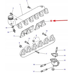 4223728m1 išmetimo kolektoriaus tarpinė