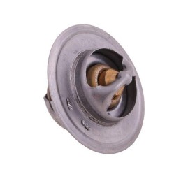 Termostatas 895311h1 David Brown korpusas polmo k208039