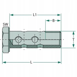 Dvipusis tuščiaviduris varžtas su kilpa m10x1 30 mm