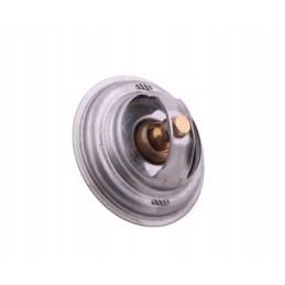 Originalus termostatas 70011316 c 385 zetor 4 cilindrai