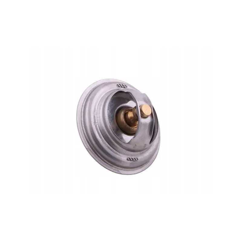 Originalus termostatas 70011316 c 385 zetor 4 cilindrai