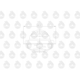 Originalus termostatas 70011316 c 385 zetor 4 cilindrai