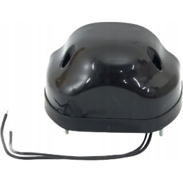 LED valstybinio numerio apšvietimas