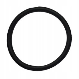 Oring Fiat Ford 14457880 9672549