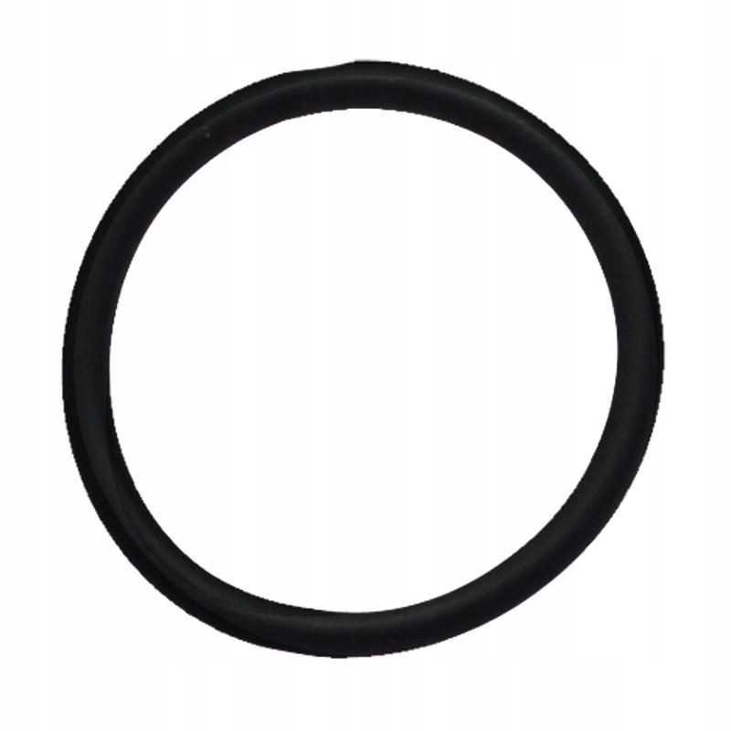 Oring Fiat Ford 14457880 9672549