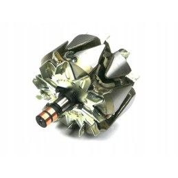 Generatoriaus rotorius 0123510074ex naujo tipo expom kw