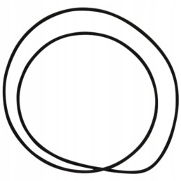 Oring 200mm 159001 05 1037 dana prieskonis