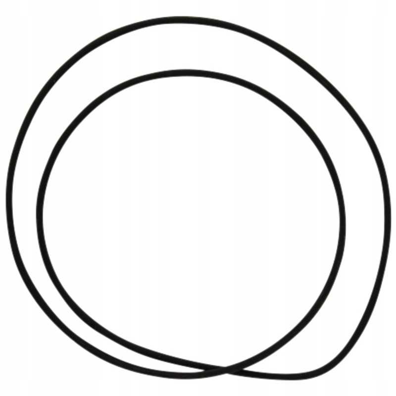 Oring 200mm 159001 05 1037 dana prieskonis